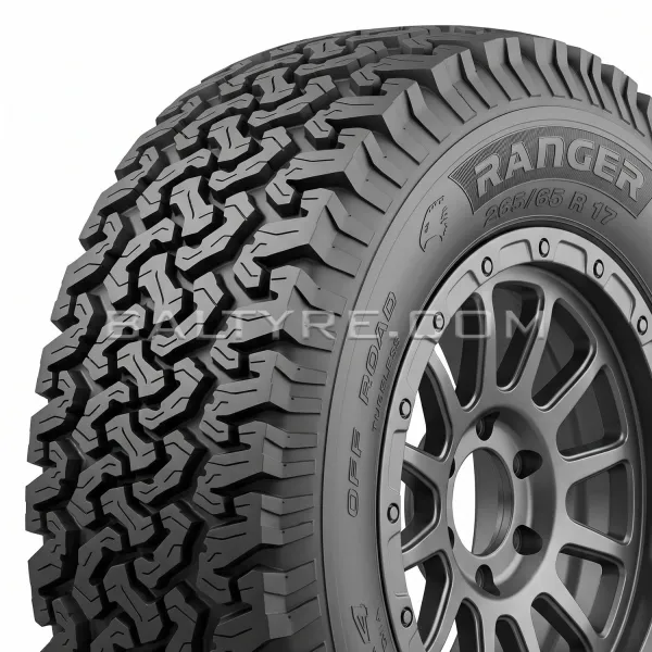 INSA-TURBO RANGER 2 215/65R16